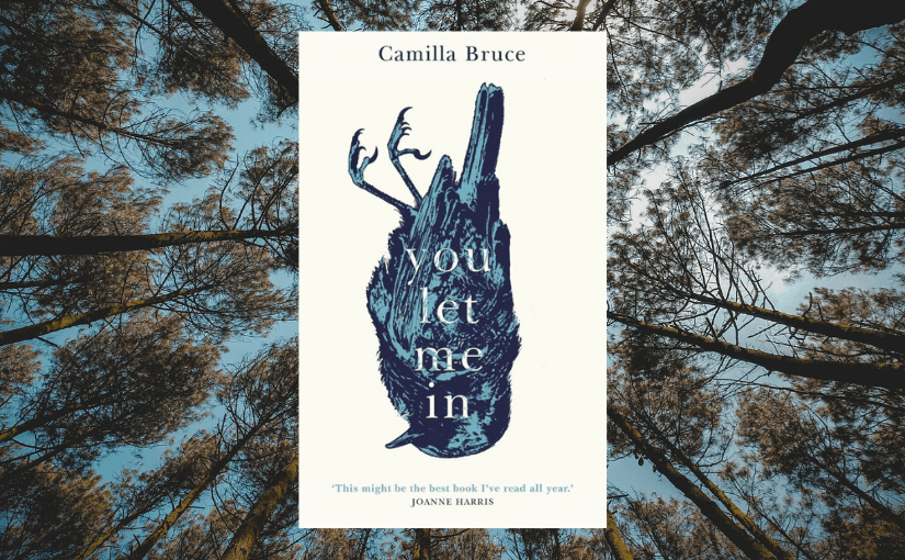 YOU LET ME IN One Year&nbsp;Old!