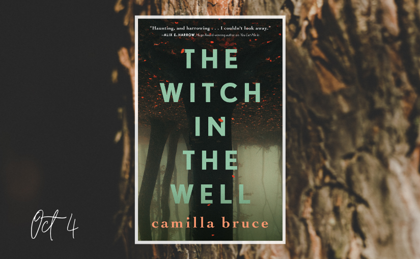 Announcing: The Witch in the Well